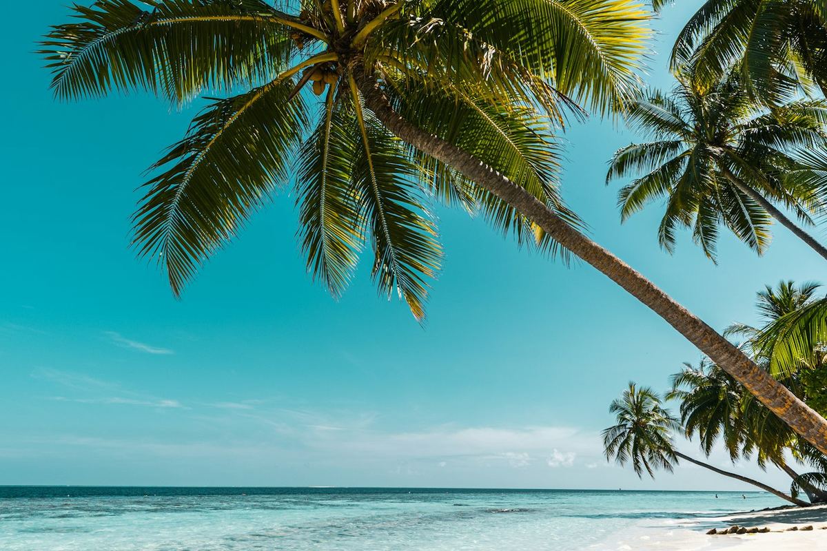 Caribbean cruise destination